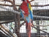 100_5885.jpg